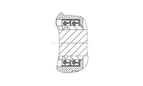 Viton ring or Ptfe lip seal