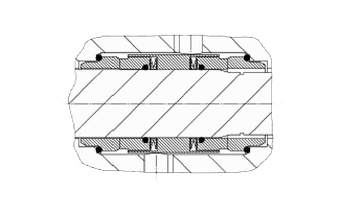 Double mechanical seal with flushing liquid according to Api plans